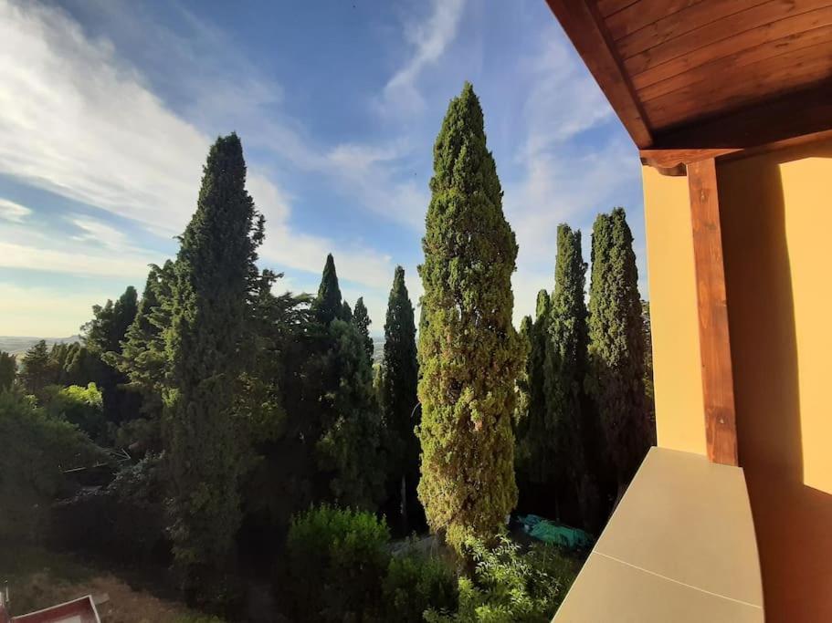 Lajatico Rentals - Terrazza Sul Tramonto Del Silenzio Esterno foto